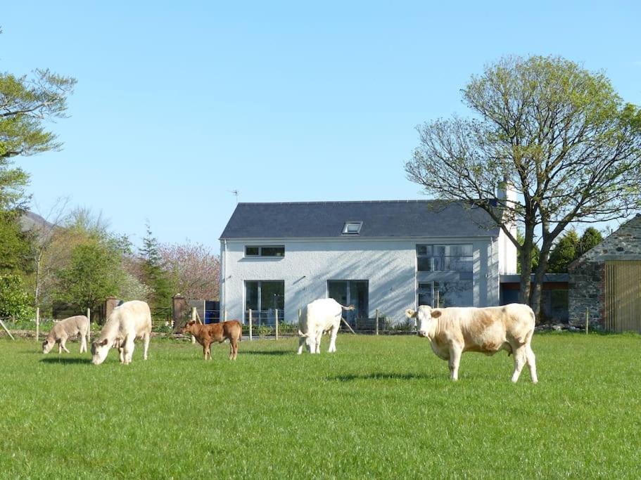 Barn Lane @ Drumagosker Rural Retreats Ardmore Exterior foto